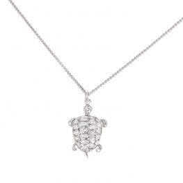 Turtle Charm TV