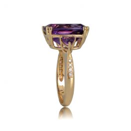 TSV Nassau Ring