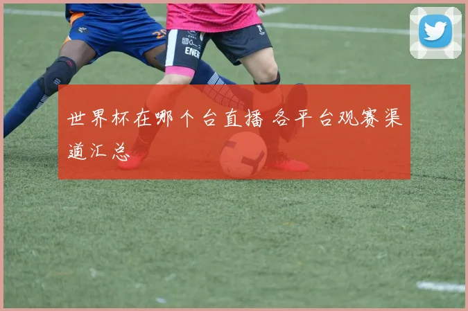 世界杯在哪个台直播 各平台观赛渠道汇总