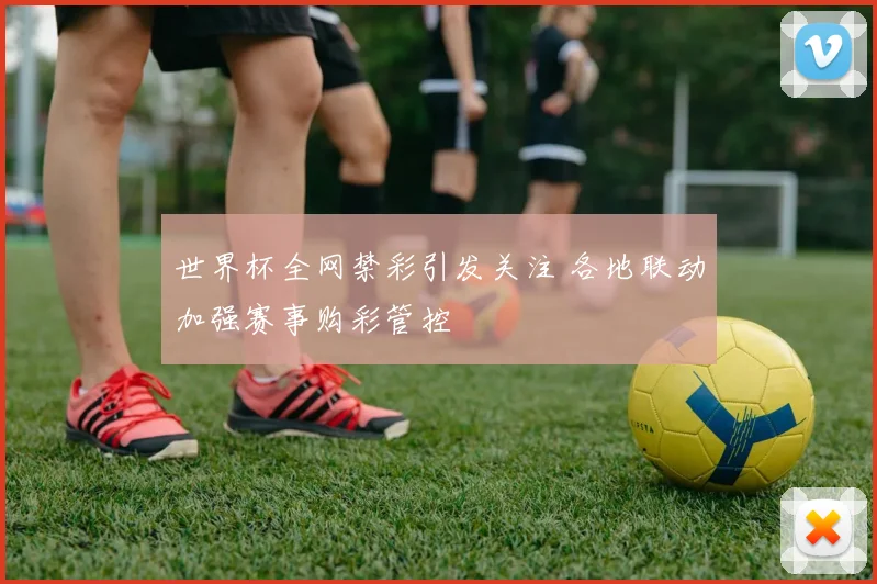 世界杯全网禁彩引发关注 各地联动加强赛事购彩管控