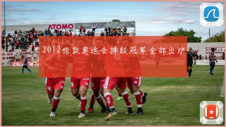 2012伦敦奥运会摔跤冠军全部出炉
