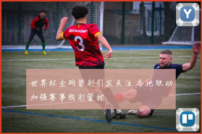 世界杯全网禁彩引发关注 各地联动加强赛事购彩管控