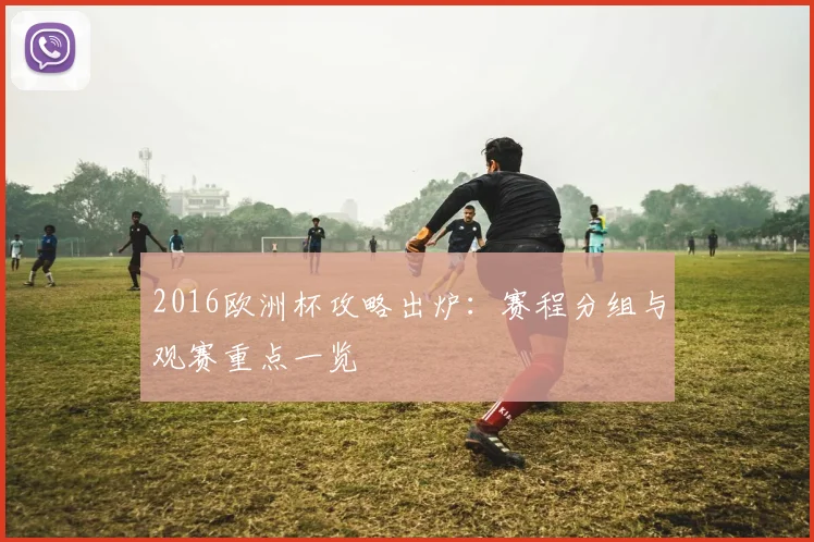 2016欧洲杯攻略出炉：赛程分组与观赛重点一览