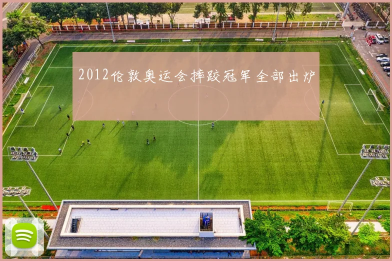 2012伦敦奥运会摔跤冠军全部出炉