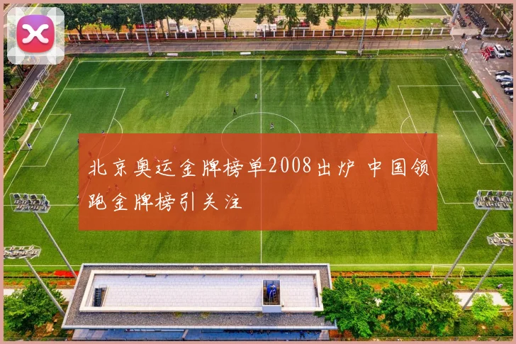 北京奥运金牌榜单2008出炉 中国领跑金牌榜引关注