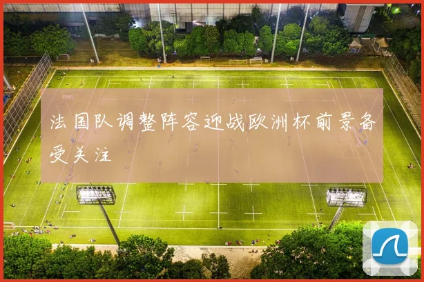 法国队调整阵容迎战欧洲杯前景备受关注