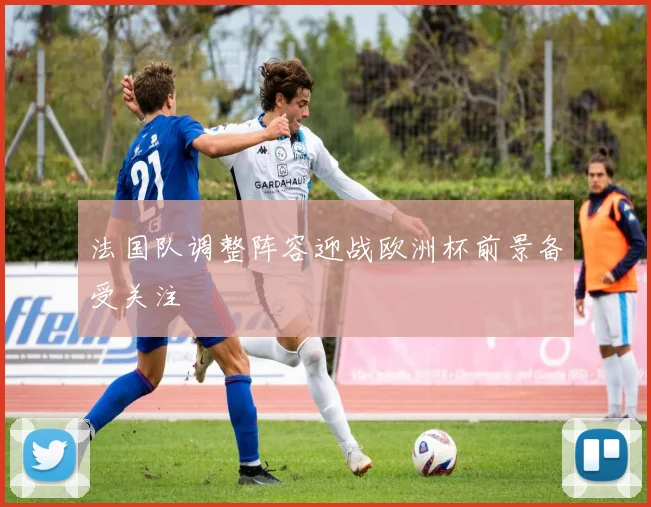 法国队调整阵容迎战欧洲杯前景备受关注