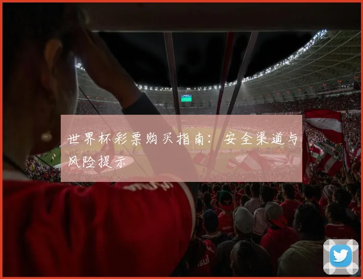 世界杯彩票购买指南：安全渠道与风险提示